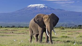 2 Night - 3 Days Maasai Mara Safari Tour
