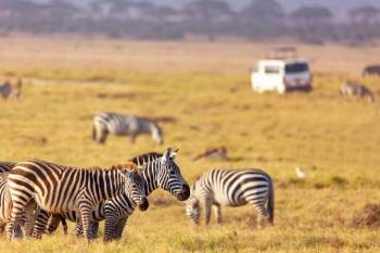 4-Day Mara & Nakuru Group Sharing