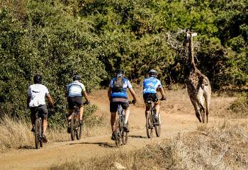 1 Day Tanzania - Cycling Safari Tour