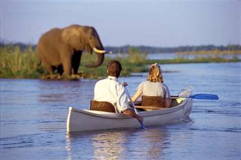1 Day Tanzania - Lake Manyara Canoeing Safari Tour