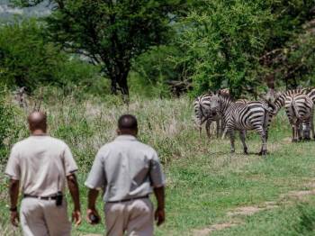 One Day Tanzania - Nature Walk Tour
