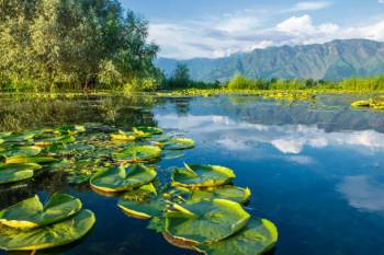 Kashmir Tour Pakage for 6 Nights 7 Days