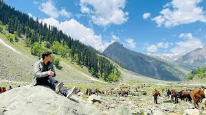 Kashmir Honeymoon - Romance In The Valley 8 Days Tour