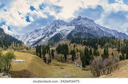 3 Nights 4 Days Kashmir Honey Moon Tour Package