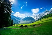 Kashmir Nature - Wildlife Tour 7 Days
