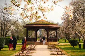 6N Pearls Of Jammu And Kashmir Tour