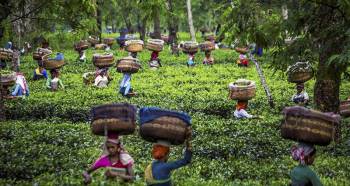 5N Kerala Visit Tour