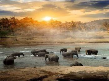 3 Nights Sri Lanka - Kandy And Colombo Tour
