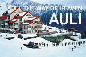 2 Nights 3 Days Rishikesh to AULI, Joshimath Tour Package