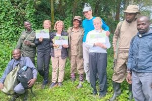3-Day Gorilla Tracking - Lake Bunyonyi Tour From Entebbe