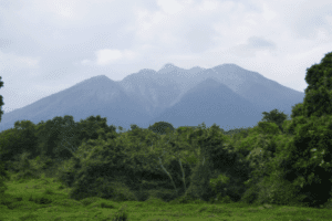 3 Day Bwindi Gorilla Trekking And Visit To Lake Bunyonyi Tour