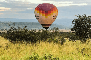 1 Day Akagera National Park Safari From Kigali
