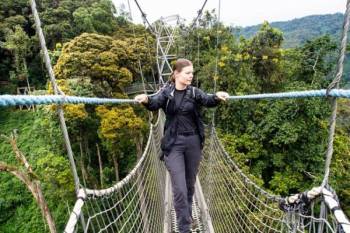 3 Day Safari In Nyungwe National Park - Lake Kivu Experience Tour