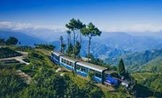 3 Night - 4 Days Darjeeling Tour - Queen of Hills