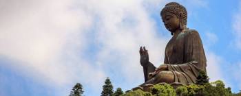 Buddhist Circuit Tour Package 8 Days - 7 Nights