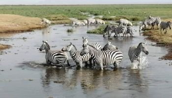 Magical Kenya 6 Days Safari Tour