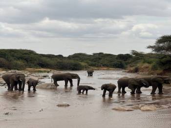 3 Day Tarangire & Ngorongoro Crater Experience