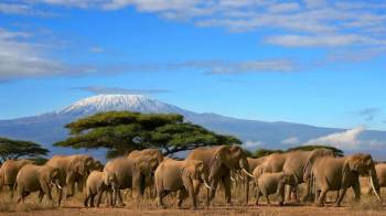 5 Nights and 6 Days Kenya Safari