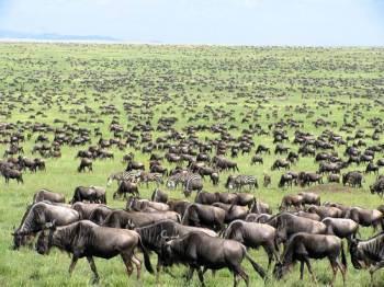 6 Days Uganda Safari Tour