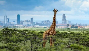 7 Nights - 8 Days Nairobi Tour Package