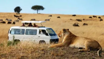 9 Nights - 10 Days Trip Grand Kenya Safari