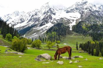 Kashmir - 5 Days Itinerary Tour