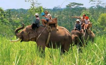 4N - 5D Nainital - Corbett Tour Package
