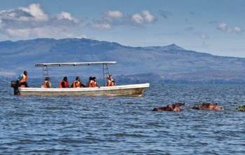 4 Days Lake Naivasha - Nakuru - Maasai Mara Safari Tour