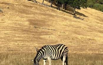 Jambo 6 Days Tour Package