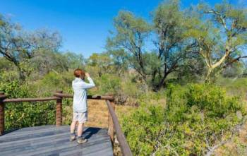 6Day Northern - Southern Sky Private Economical Safari Tour