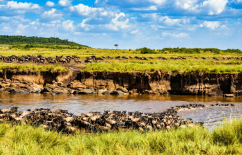 2 Nights - 3 Days Maasai Mara Safari - Platinum Package