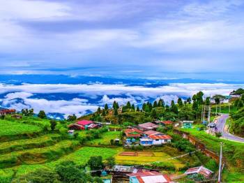 Darjeeling Tour - Queen Of Hills Ex - Bagdogra