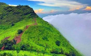 South India - Kerala - Tamil Nadu Package From Cochin