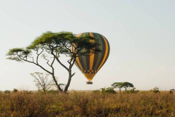 Big Game Safari – Mara River migration – 10 Days Safari