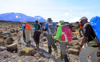 Kilimanjaro - Shira Route 9 Days Trekking Tour