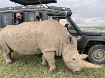 Classic Northern Safari 4 Days Safari Tour