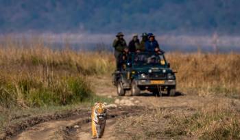 4 Days - 3 Nights Jim Corbett Tour Package