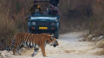 2 Days - 1 Night Jim Corbett Tour Package