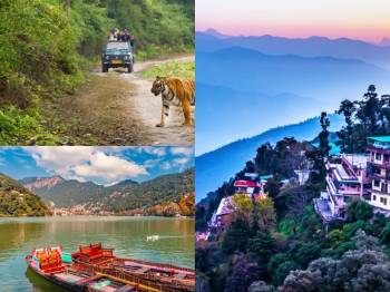 Mussoorie Corbett Nainital