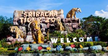 Thailand : 4 Nights & 5 Days of Fun, Beaches & Culture
