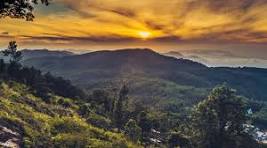 Yercaud Package (1N/2D)