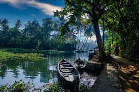 Relaxing Kerala - MUNNAR, ALLAPPEY 4 Days