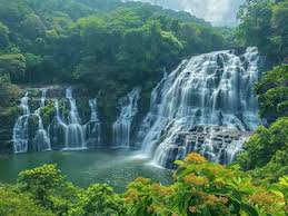 Wayanad 2N/3D