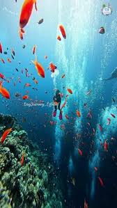 Bangaram with Thinnakara Island (Lakshadweep) - 4N/5D