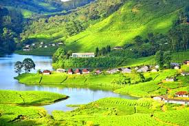 Thekkady, Idukki Package (2N/3D)