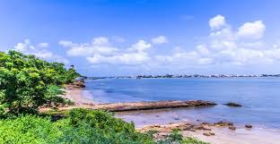 Gujarat - Gir with Diu Tour