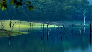 Thekkady, Cumbummettu Package (2N/3D)