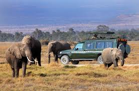 Kenya 7 Day Safari & Beach Escape