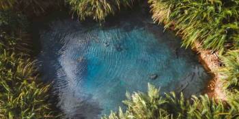 Kikuletwa Hotspring Day Trip