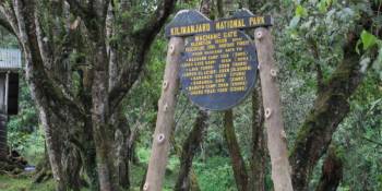 7 Days Machame Route Mount Kilimanjaro Trekking Tour